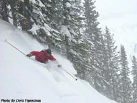 Jackson Hole Powder Skiing
